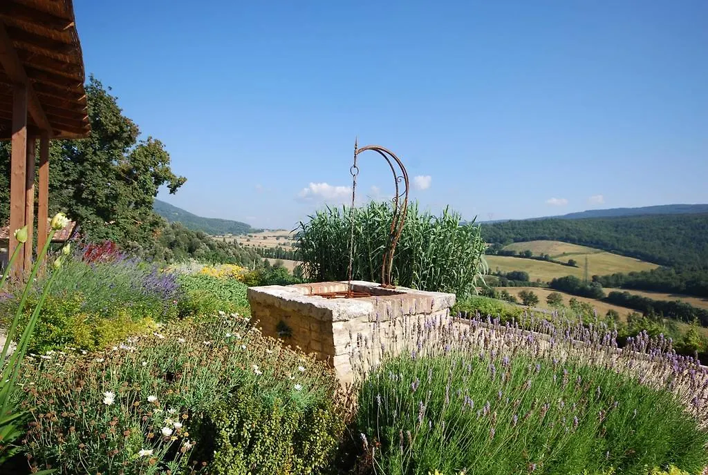 Podere Scopeto Casole dʼElsa 0*,